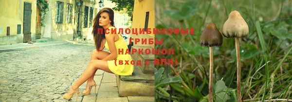 скорость mdpv Богородицк