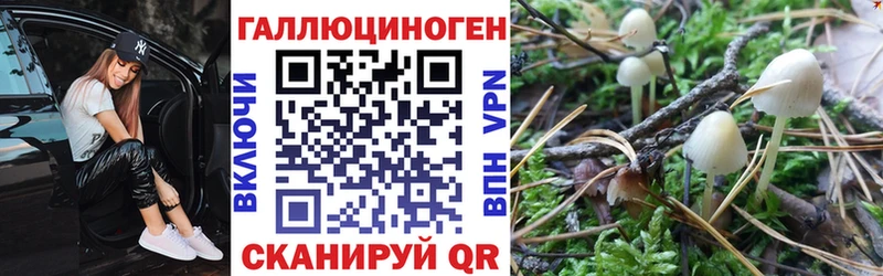Галлюциногенные грибы Cubensis  хочу наркоту  Дмитров 